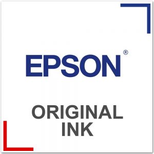 Epson Original Inks